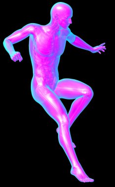 3D render Medikal illüstrasyon insan anatomi 