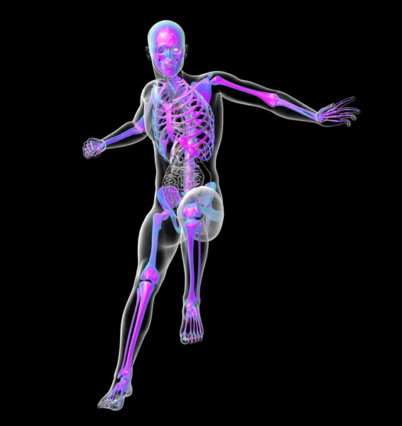 3D-Darstellung der medizinischen Darstellung des Skeletts — Stockfoto