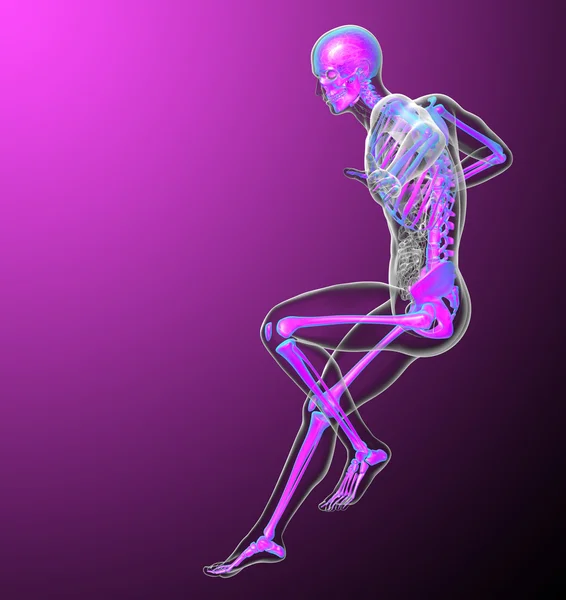 3d render medical illustration of the skeleton — Stock Photo, Image