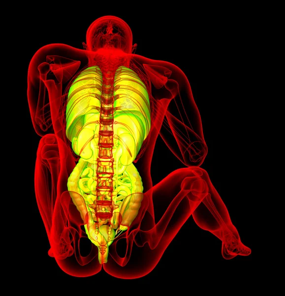 3d hacer ilustración médica del sistema digestivo humano y — Foto de Stock