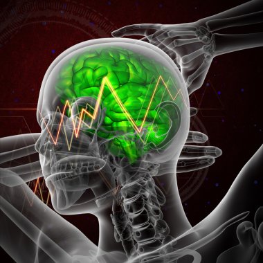 3D render Medikal illüstrasyon insan beyninin 