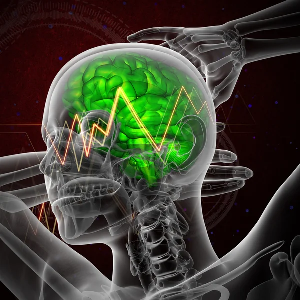 3D render Medikal illüstrasyon insan beyninin 