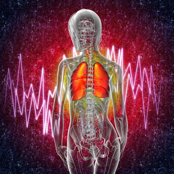 3D render medische illustratie van de ademhalingswegen pijn — Stockfoto