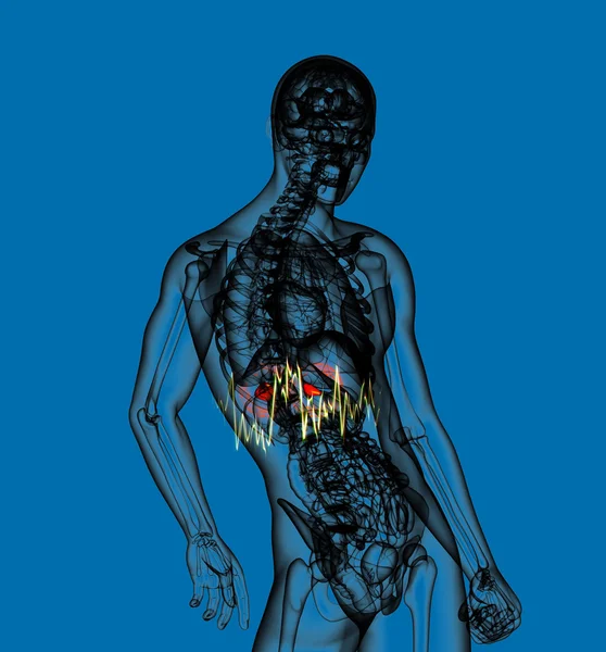3d tornar ilustração médica da dor adrenal — Fotografia de Stock