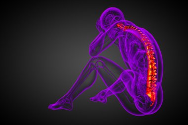 3d render medical illustration of the human spine  clipart