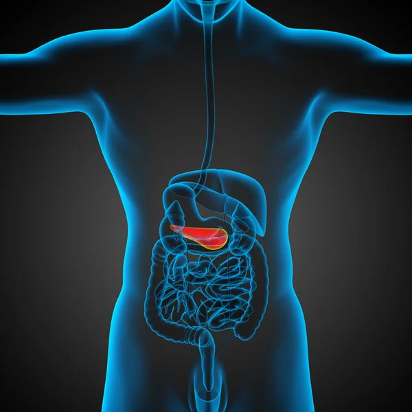3d 渲染医学插图的胰腺 — 图库照片