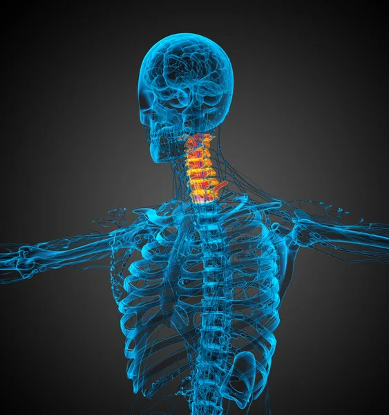 首の骨の 3 d レンダリングの医療イラスト — ストック写真
