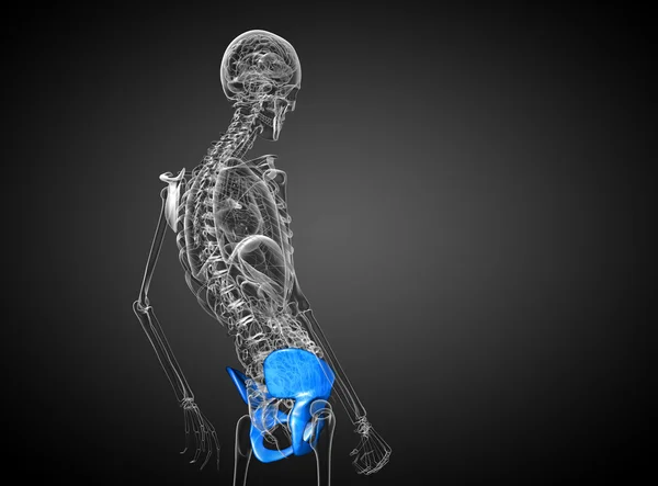 3d hacer ilustración médica del hueso de la pelvis — Foto de Stock