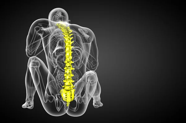 3d rendre illustration médicale de la colonne vertébrale humaine — Photo