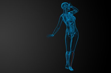 Kaval kemiğin işlenmiş illüstrasyon 