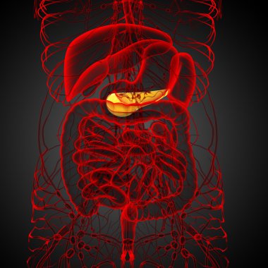 pancrease 3D render tıbbi çizimi