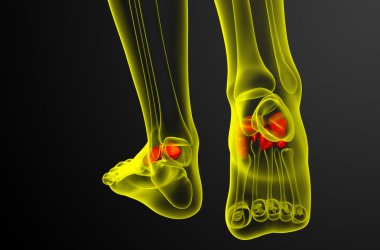 3D render Medikal illüstrasyon midfoot kemik