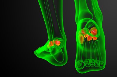 3D render Medikal illüstrasyon midfoot kemik