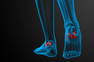 3D render Medikal illüstrasyon midfoot kemik
