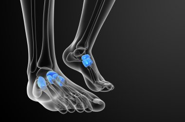 3D render Medikal illüstrasyon midfoot kemik