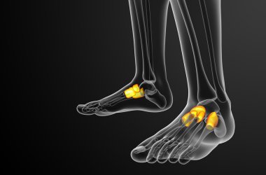 3D render Medikal illüstrasyon midfoot kemik
