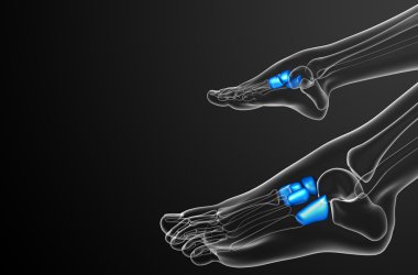 3D render Medikal illüstrasyon midfoot kemik