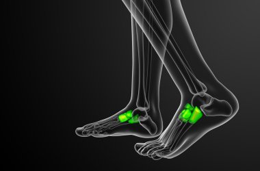 3D render Medikal illüstrasyon midfoot kemik