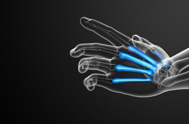 3D render Medikal illüstrasyon metakarpal kemik 