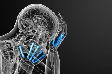 3D render Medikal illüstrasyon metakarpal kemik 