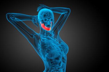 işlenmiş illüstrasyon - çene kemiği