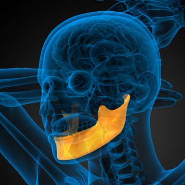 işlenmiş illüstrasyon - çene kemiği