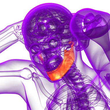 işlenmiş illüstrasyon - çene kemiği