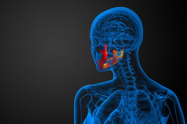 işlenmiş illüstrasyon - çene kemiği