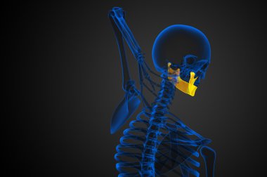 işlenmiş illüstrasyon - çene kemiği