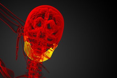 işlenmiş illüstrasyon - çene kemiği