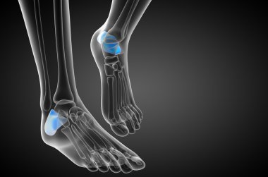 3D render Medikal illüstrasyon calcaneus kemik