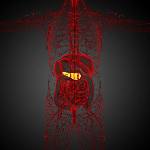 3d rendere illustrazione medica del pancreas — Foto Stock