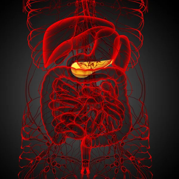 3d tornar ilustração médica do pâncreas — Fotografia de Stock