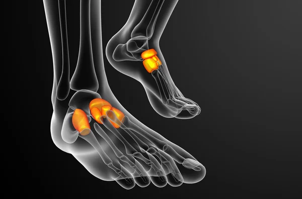 3d render medical illustration of the midfoot bone — Stock Photo, Image