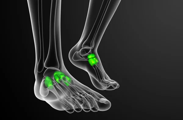 3D render medische illustratie van het midfoot bot — Stockfoto