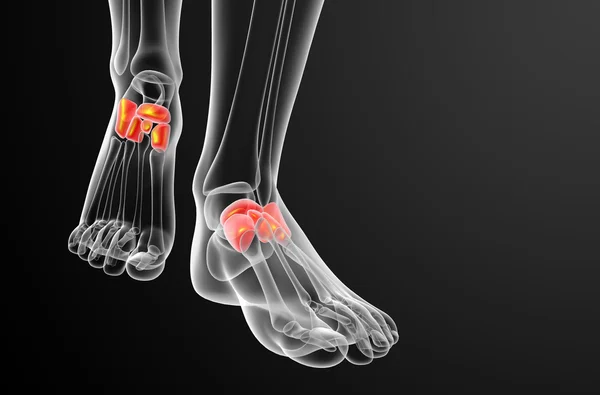 3d renderizar la ilustración médica del hueso del pie medio — Foto de Stock