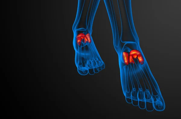 3d 渲染医学插图的足弓骨 — 图库照片