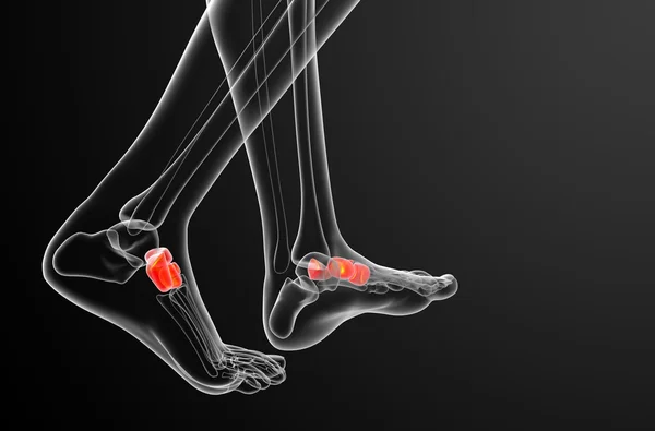 3d renderizar ilustração médica do osso médio do pé — Fotografia de Stock