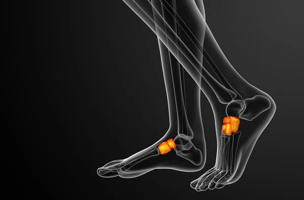 3d renderizar la ilustración médica del hueso del pie medio —  Fotos de Stock
