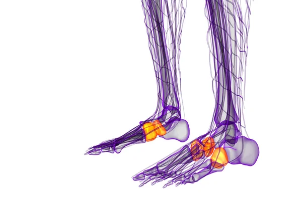 3D render orvosi illusztráció, a a midfoot csont — Stock Fotó