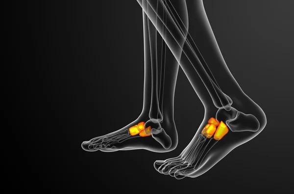 3D render Medikal illüstrasyon midfoot kemik — Stok fotoğraf