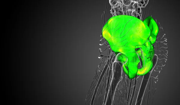3D render medische illustratie van de heup bot — Stockfoto