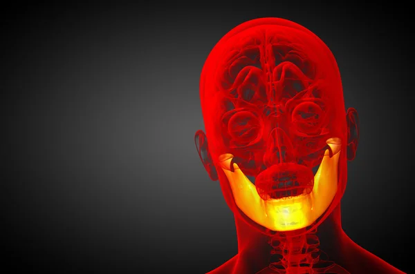 3D ілюстрація - кістка щелепи — стокове фото