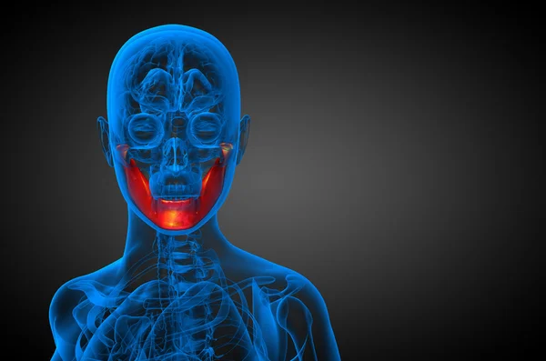 3d 渲染的图-下颚骨 — 图库照片