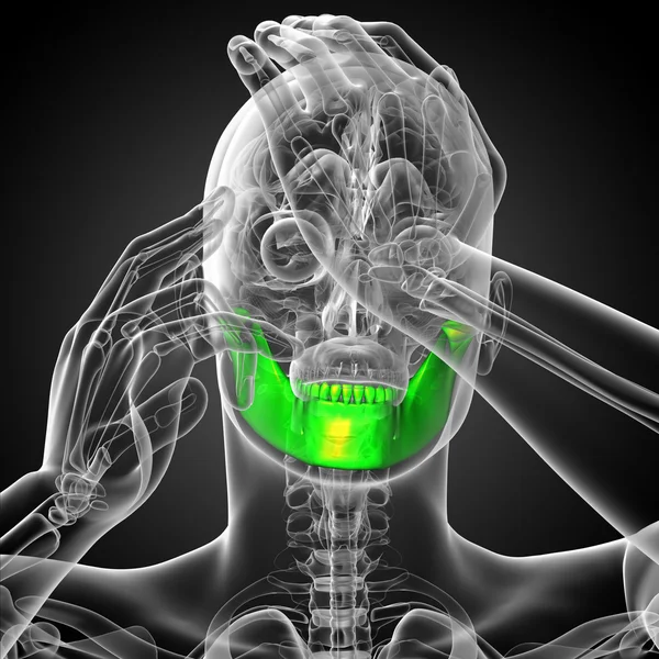 3D-s renderelt illusztráció - állkapocs csont — Stock Fotó