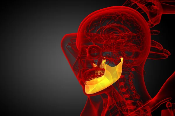 Illustrazione resa 3d - osso della mascella — Foto Stock