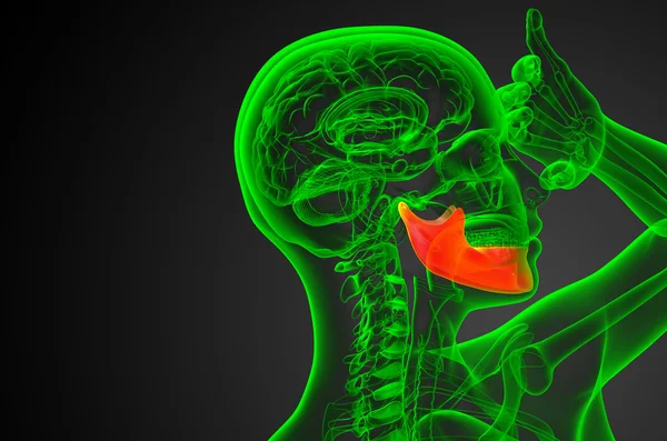 3d 渲染的图-下颚骨 — 图库照片