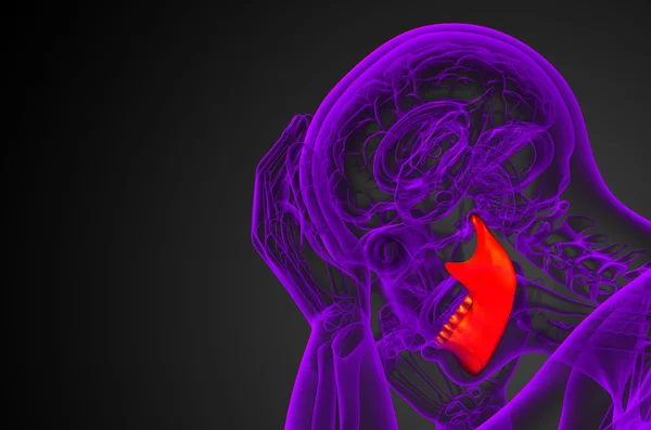 3D рендеринг иллюстрации - челюсть кости — стоковое фото