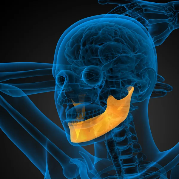 3d 渲染的图-下颚骨 — 图库照片