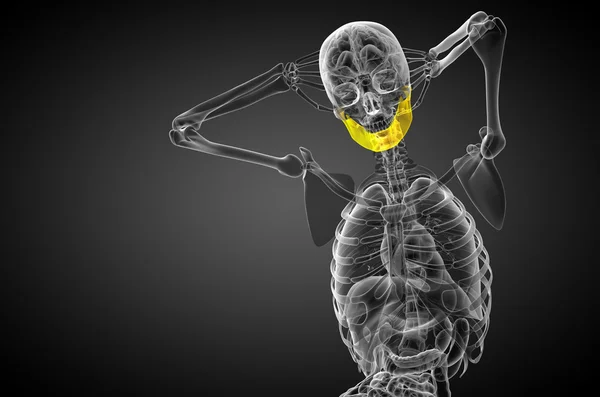 Illustrazione resa 3d - osso della mascella — Foto Stock